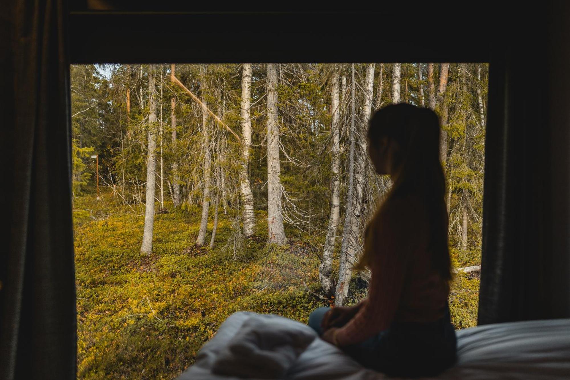 Lodge Vaattunki Wilderness