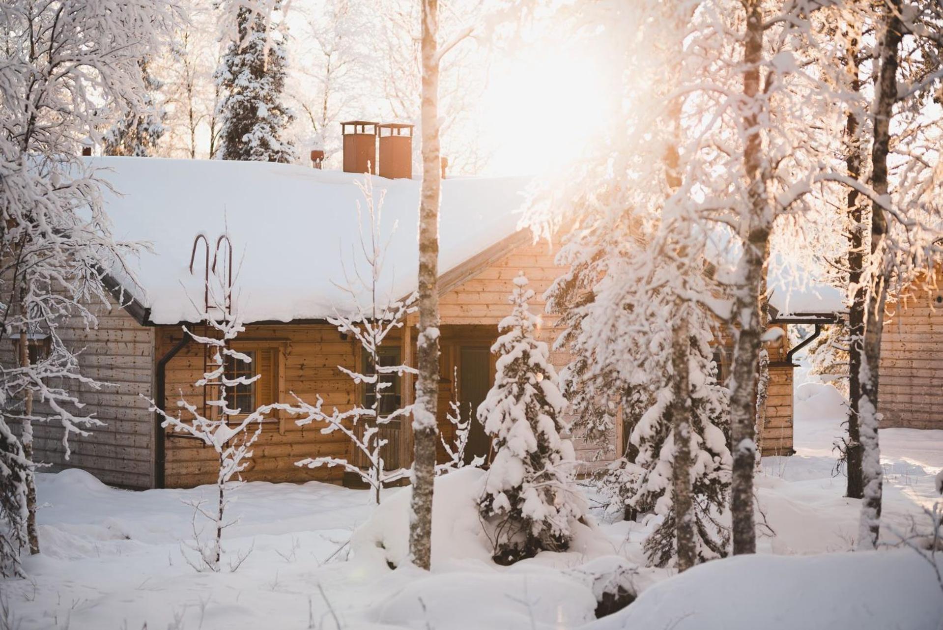 Vaattunki Wilderness Rovaniemi